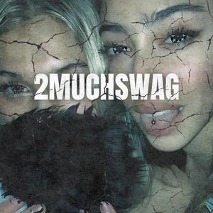 2MUCHSWAG