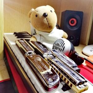 爱尔兰画眉 （十孔口琴）