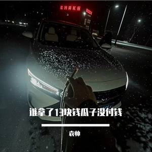 谁拿了13块钱瓜子没付钱