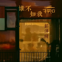 谁不知我痴 (DJ阿本版)