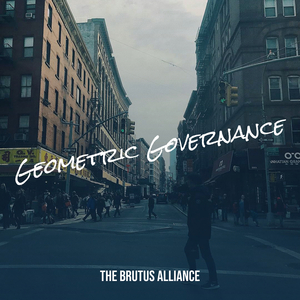 Geometric Governance