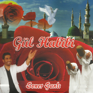 Seher Vakti Bülbüller