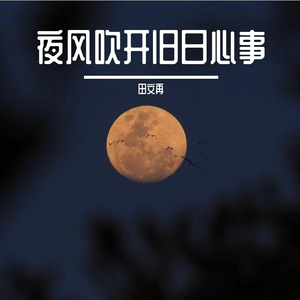 夜色缓缓扩散
