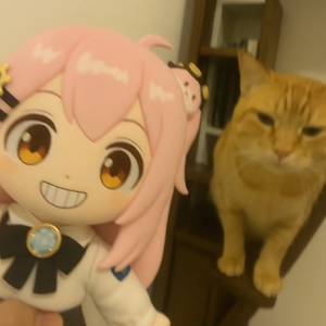 欺负一只小喵？90srnb type beat