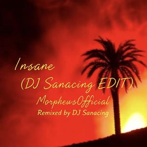 Insane(DJ Sanacing EDIT)