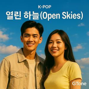 열린 하늘(Open Skies)