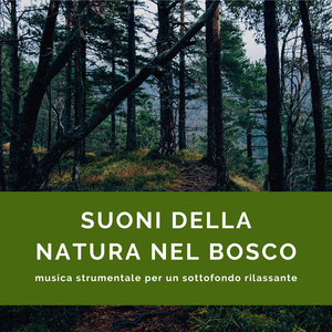 Suoni della natura nel bosco