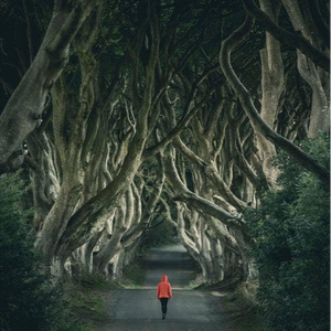 向海的人怎会赴山头