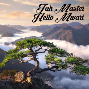 Hello Mwari