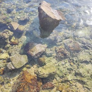 一路坚强