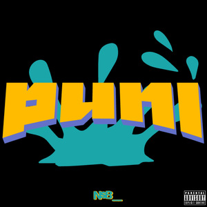 Puni