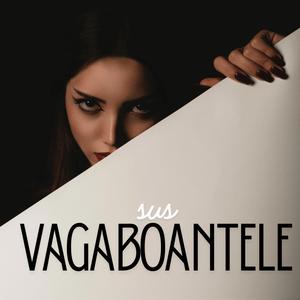 Sus Vagaboantele