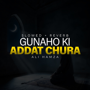 Gunaho Ki Addat Chura Lofi