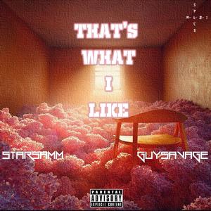 That's what i like (feat. Starsamm)