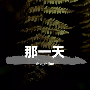那一天