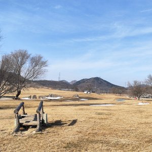 东北的辽阔雪原