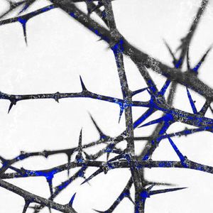 三支荆棘舞六次腐浪漫