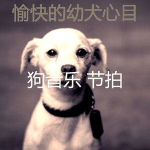 精彩可爱的狗环境