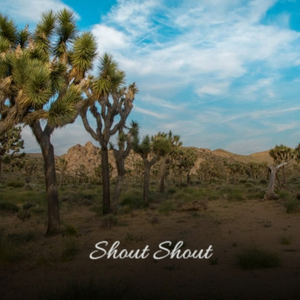 Shout Shout