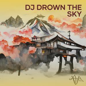 Dj Drown the Sky (Remix)