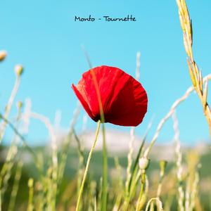 Tournette