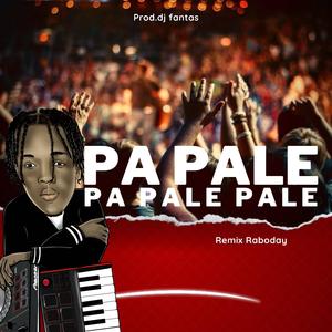 Pa Pale Pa Pale Pale (Remix Raboday)