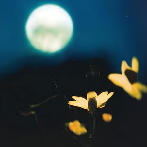 ยังอยู่ตรงนี้