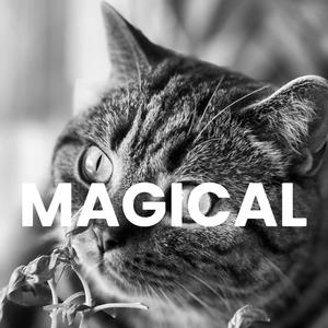 MAGICAL