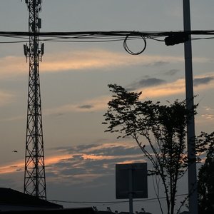 读者_20260201_000944.wav