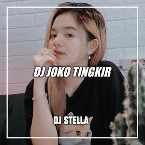 DJ Joko Tingkir