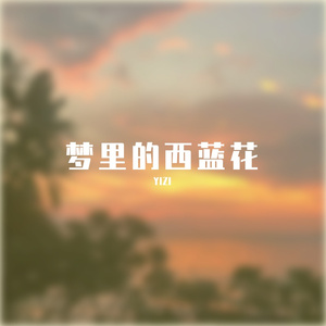 梦里的西蓝花