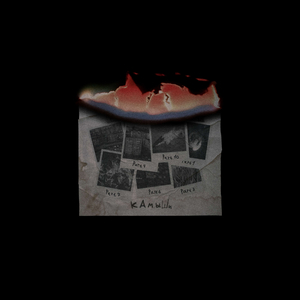 Камыши (Remix by АндерBitches)