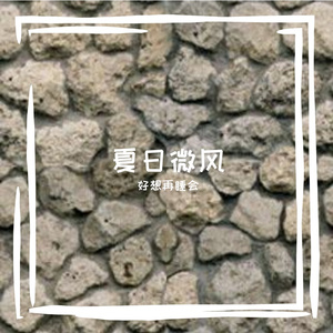 相思一夜梅花发