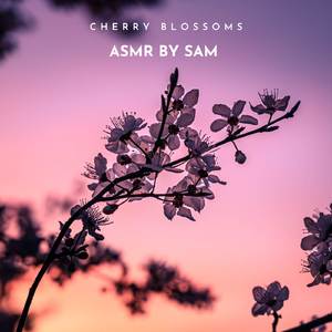 Cherry Blossoms