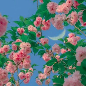 指纹(0.888倍）