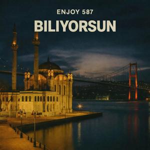 Biliyorsun