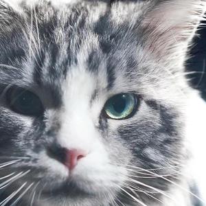 勾指起誓（小郑爱小周）