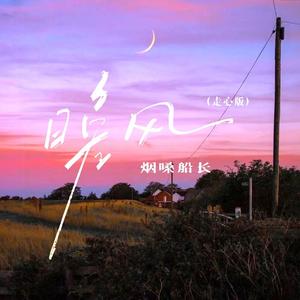 晚风 (DJ默涵版)