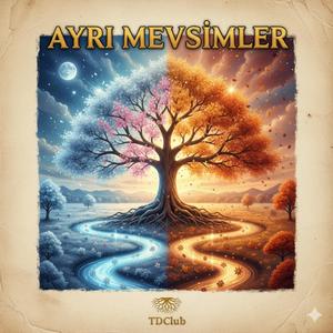 AYRI MEVSİMLER