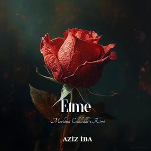 Etme (Mevlânâ Celâleddîn-i Rûmî)