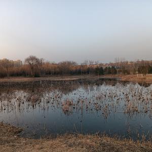 我在等你主动，你在等我有空