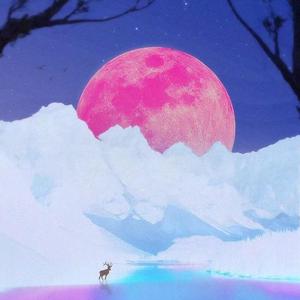 大雪_苏珞（翻自 音阙诗听）