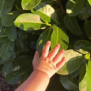 ivy (feat. elliot and ivy)