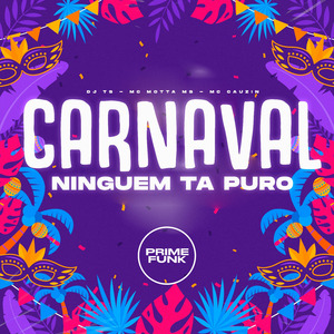 Carnaval Ninguem Ta Puro