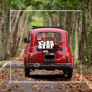 我喜欢你是寂静的