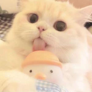 靠近_1637424784012_1637498689372