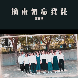 摘束勿忘我花