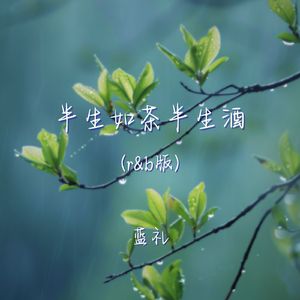 半生如茶半生酒（r&b版）