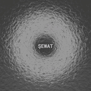 Çavên Te