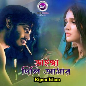 ভাইঙ্গা দিলি আমার